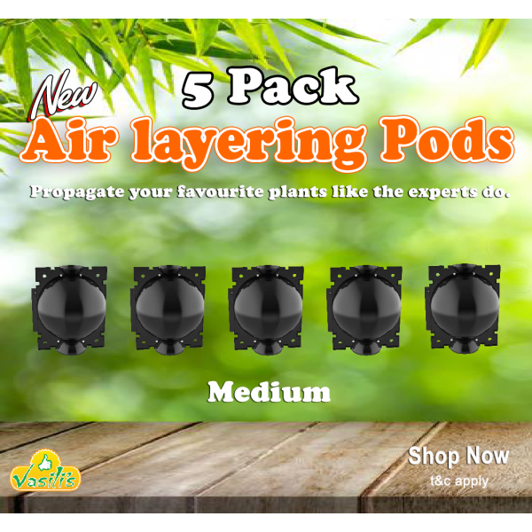 Air Layering Pods x5 Pack Medium