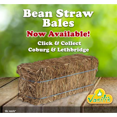 Bean Straw Bale