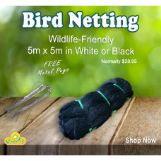 Wildlife Friendly Bird Netting BLACK 5m x 5m + Free Metal Garden Pegs