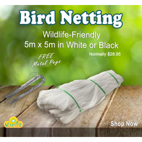 Wildlife Friendly Bird Netting WHITE 5m x 5m + Free Metal Garden Pegs