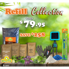 Refill Collection Pack