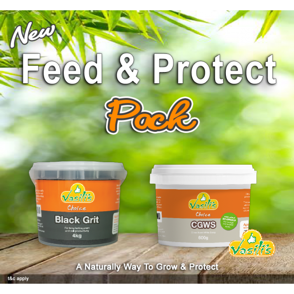 Feed & Protect Pack - BG4kg + CGWS600g
