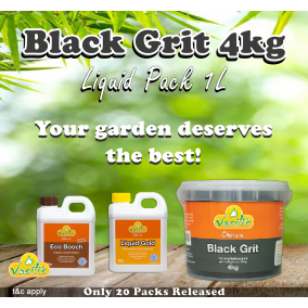 Black Grit 4kg + Liquid Pack 1Ltr  Free Shipping