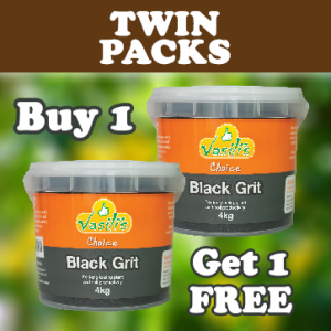 Twin Pack BUY 1 GET 1 FREE