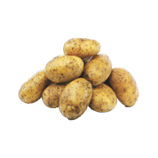 Organic Dutch Cream Potatoes + Free 400mm Grow Pot 